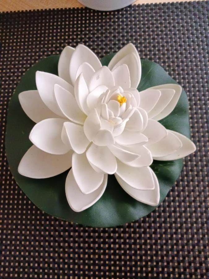 Almudena Estudio 또레비에하 외부 사진